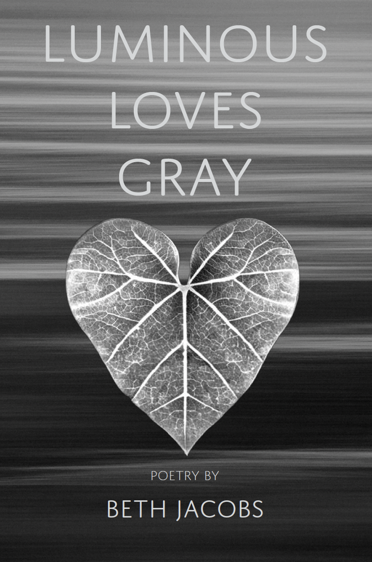 Luminous Loves Gray book cover